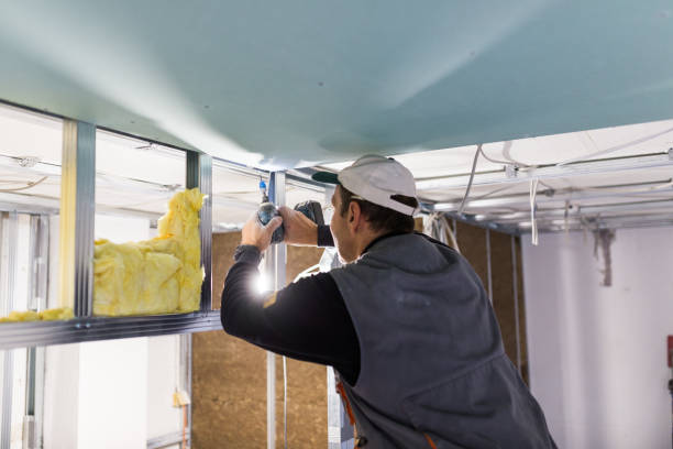 Best Energy Efficiency Insulation in Ellicott City, MD