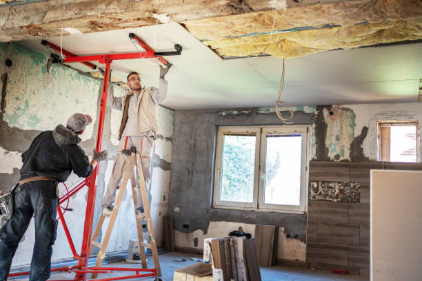 Best Geographic-Specific Insulation Services in Ellicott City, MD