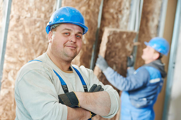 Best Eco-Friendly Insulation in Ellicott City, MD